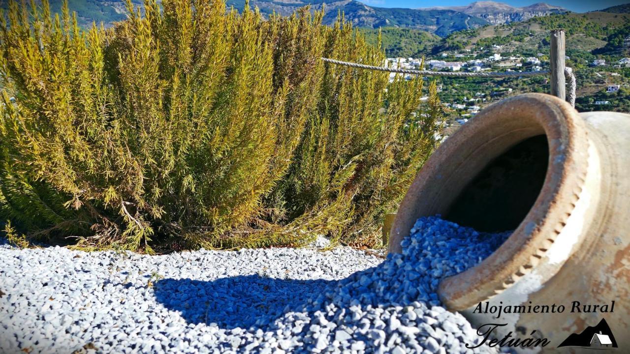 Alojamiento Rural Tetuan Archez Ngoại thất bức ảnh